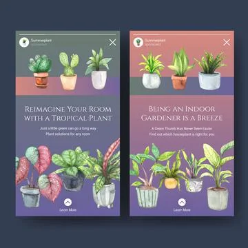 Instagram template design with summer plant and house plants for social media Stock Illustration