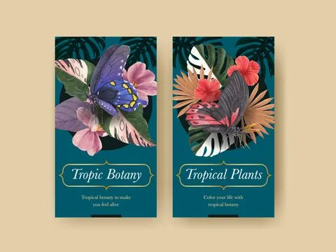 Instagram template with tropical botany concept, watercolor style 库存插图