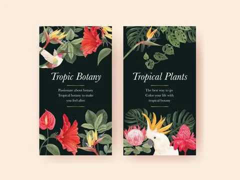 Instagram template with tropical botany concept, watercolor style 库存插图