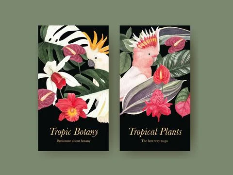 Instagram template with tropical botany concept, watercolor style Illustrazione stock