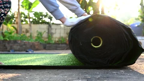 Install Artificial turf for home yard. Laying out fake grass roll and decorat Stock Footage 150211483