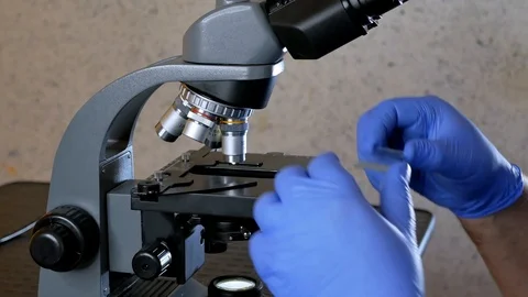 Install glass and examines samples in a microscope Stock Footage 117624093