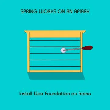 Install Wax Foundation on frame (spring work) Stock Illustration