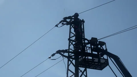 Installation of bird protection measures. Stock-Footage 141761439