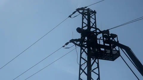 Installation of bird protection measures. Stock Footage 141761444