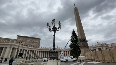 Installation of the Christmas tree in Vatican main square Stock Footage 166135249