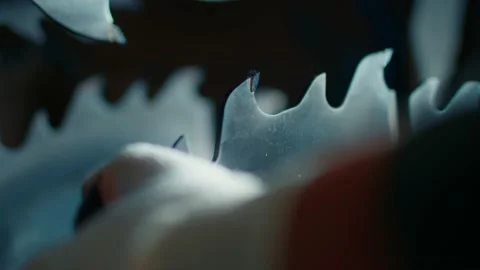 Installation of a circular saw, metal teeth close-up. A worker in a production Vídeo Stock 157889965