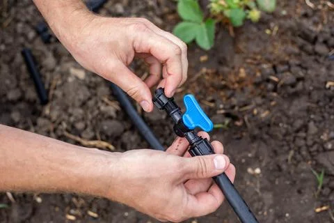 Installation of a drip irrigation system for the garden. A man connects a s.. Stock Photos