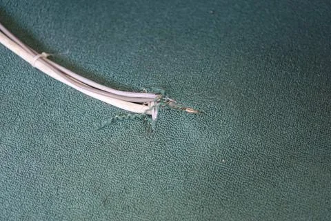 Installation of electrical cables that come out of the green carpet. Stock Photos