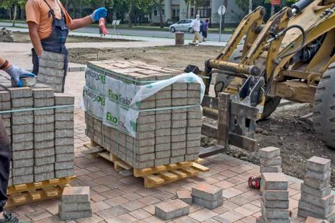 Installation of floor bricks Stock Photos