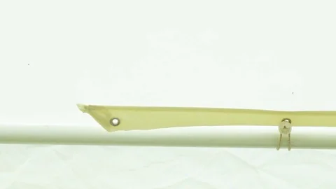 Installation of modular tent from elements Stock Footage 71093802