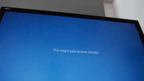 Installation process of Microsoft Windows 10 NEC Spectraview display Stock Footage 107878193