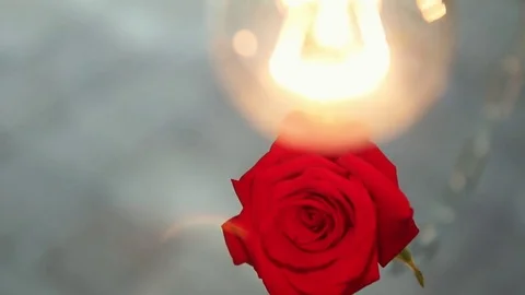 Installation with the rose, lamp and chains. Stock Footage 81944130