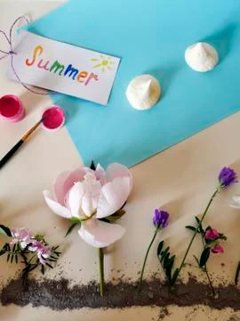Installation on the theme of summer, paint, blue clay, flowers Stock Photos