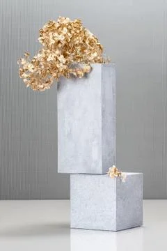 Installation using concrete blocks and a golden plant.. Stock Photos
