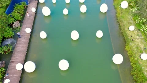 Installation of white eggs floating in water. Eggs are among seven interactive Vídeo Stock 146624970