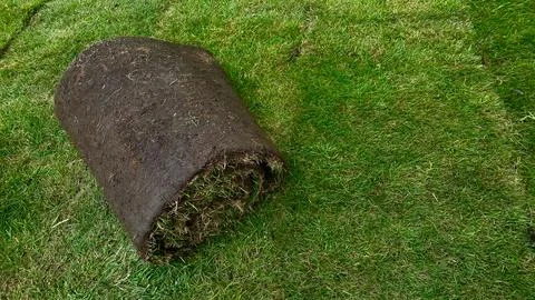 Installer handling turf roll, unrolling synthetic grass for garden makeover. Photos
