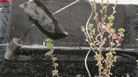 Installing asphalt strips to the wall for waterproofing the building Stock Footage 239004962