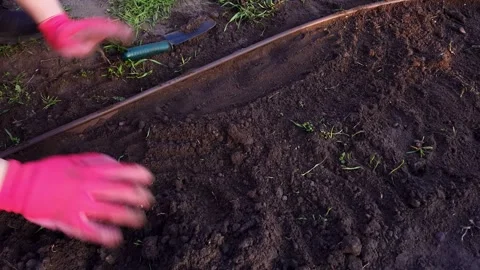 Installing flexible plastic edging to create defined garden beds 動画素材 333582966