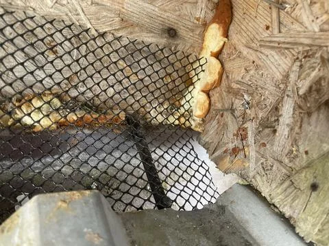 Installing leaf guard mesh in gutter Stock Photos