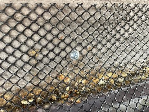 Installing leaf guard mesh in gutter Stock Photos