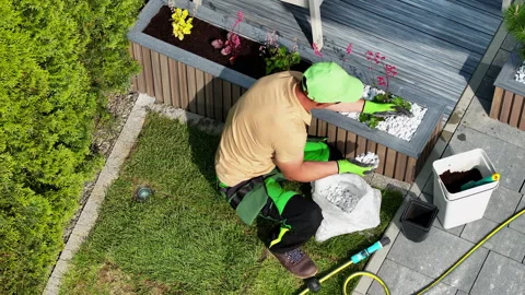 Installing Modern Pot with a Pine Tree In the Back Yard Garden Stock Footage 254426178