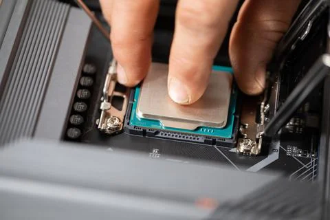 Installing a new intel processor by the computer user 写真素材