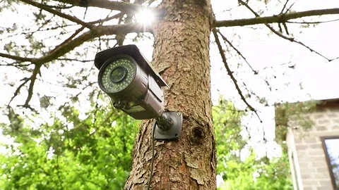Installing a security camera on a tree in a backyard 스톡 동영상 328760450