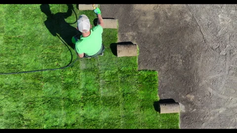 Installing Sod in the Backyard on a Sunny Day Aerial View Video stock 276691309
