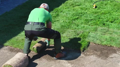 Installing Sod in a Yard Stock Footage 276691419