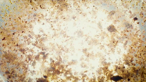 Instant coffee being poured and dissolves in water. Macro shot, top view. Stock Footage 162408154
