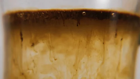 Instant coffee dissolving in glass cup, macro Stock Footage 321954317