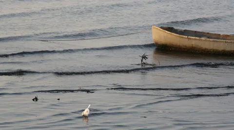 Instant food bag garbage floating in sea near old boat Asia 動画素材 49038272