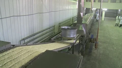 Instant noodles move continuously along a conveyor belt in a pasta factory. Stock Footage 149072719