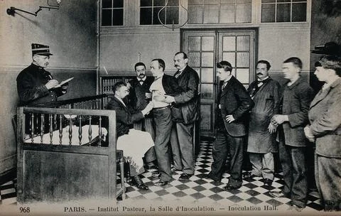 Institut Pasteur, Paris: inoculation hall. Photographic postcard, ca. 1910. Foto stock