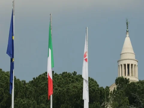 Institutional flags Stock Footage 74228008