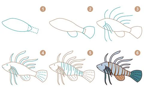 Instructions for drawing zebra fish. Step by step. Stock Illustration