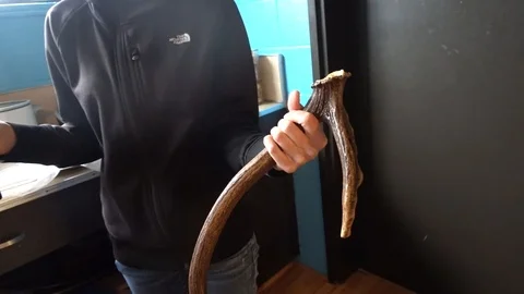 Instructor with an Antler Stock Footage 105430205