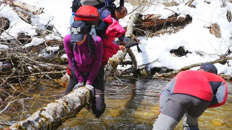 The instructor monitors the condition of the tree and the movement of tourists Stock Footage 50768961