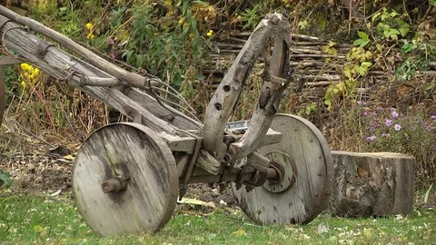Instrument of Ancient Life Stock Footage 72436558