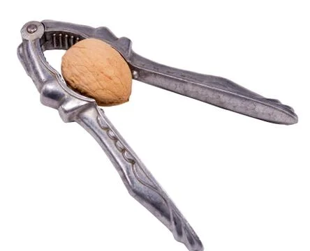Instrument for prick nut Stock Photos