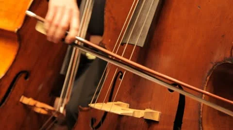 Instruments 05 動画素材 11895164