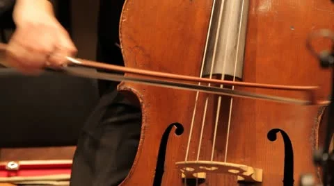 Instruments 08 動画素材 11895089