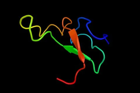 Insulin-like growth factor-binding protein 5, a protein that in humans is e.. Illustration