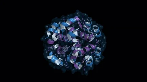 Insulin hexamer, rotating model Stock Footage 73040344