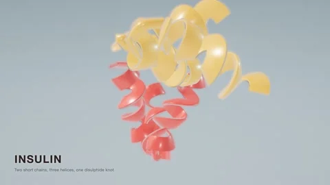 Insulin hormone protein structure rotating molecular model loop Stock Footage 343822725