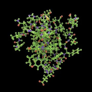 Insulin molecule, 3D illustration Stock Illustration