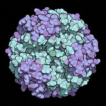 Insulin peptide hormone, 3D rendering. Important drug in treatme Stock Illustration