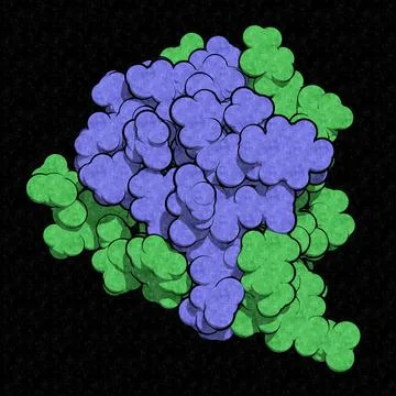 Insulin peptide hormone, 3D rendering. Important drug in treatme Stock Illustration