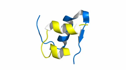 Insulin protein, rotating cartoon model 스톡 동영상 24603844